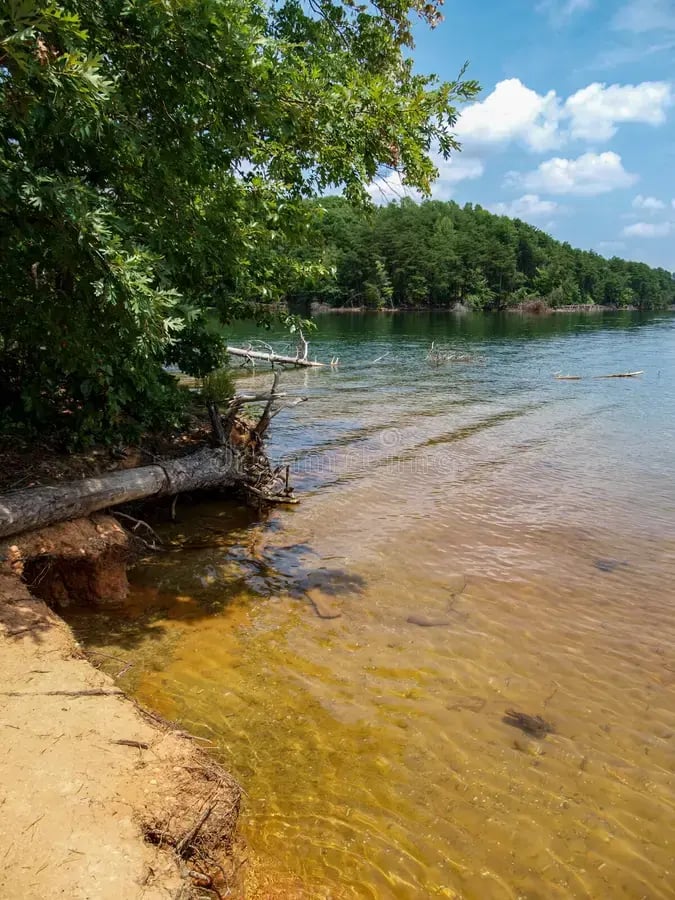 Belews Lake NC Beach