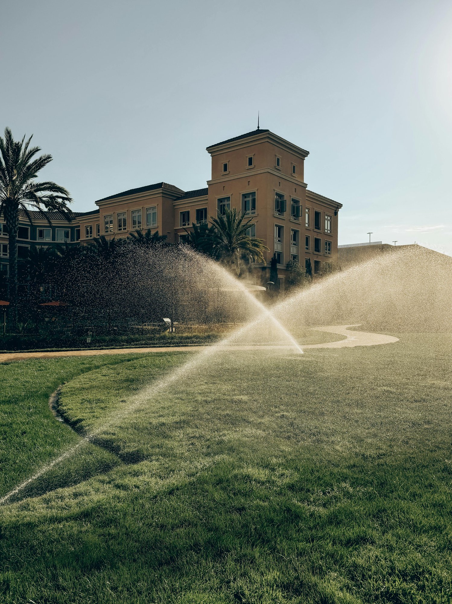 Bermuda grass being watered