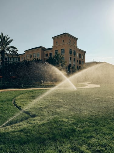 Bermuda grass being watered