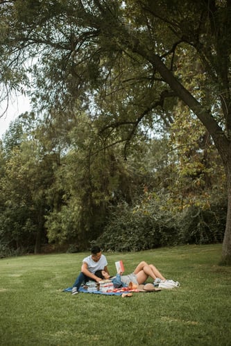 A couple on a lawn having a picnic and reading a book