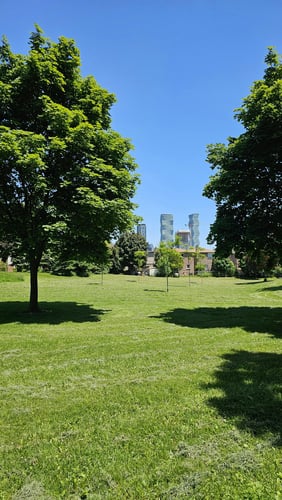 Lawn With Tress and City Backdrop