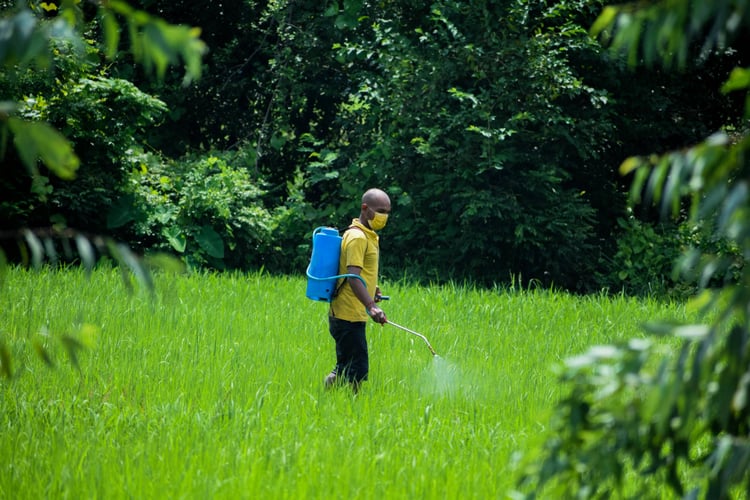 Man spreading liquid fertilizer in a field