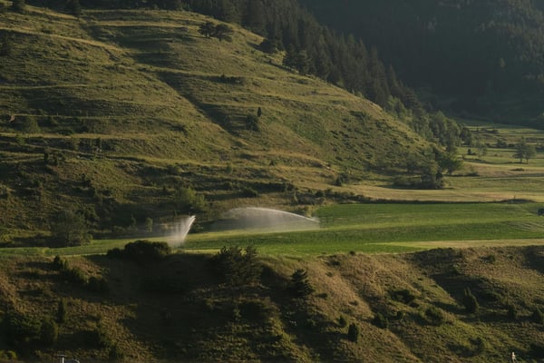 Sprinklers watering lawn