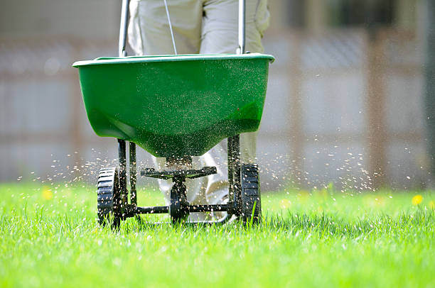 lawn-fertilizer