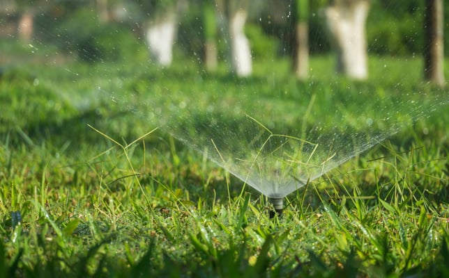 Grass being watered by an in ground sprinkler